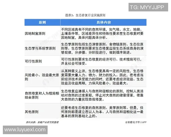 深入探讨北京排球队力量表现的数据分析与趋势解读 深入探讨北京排球队力量表现的数据分析与趋势解读